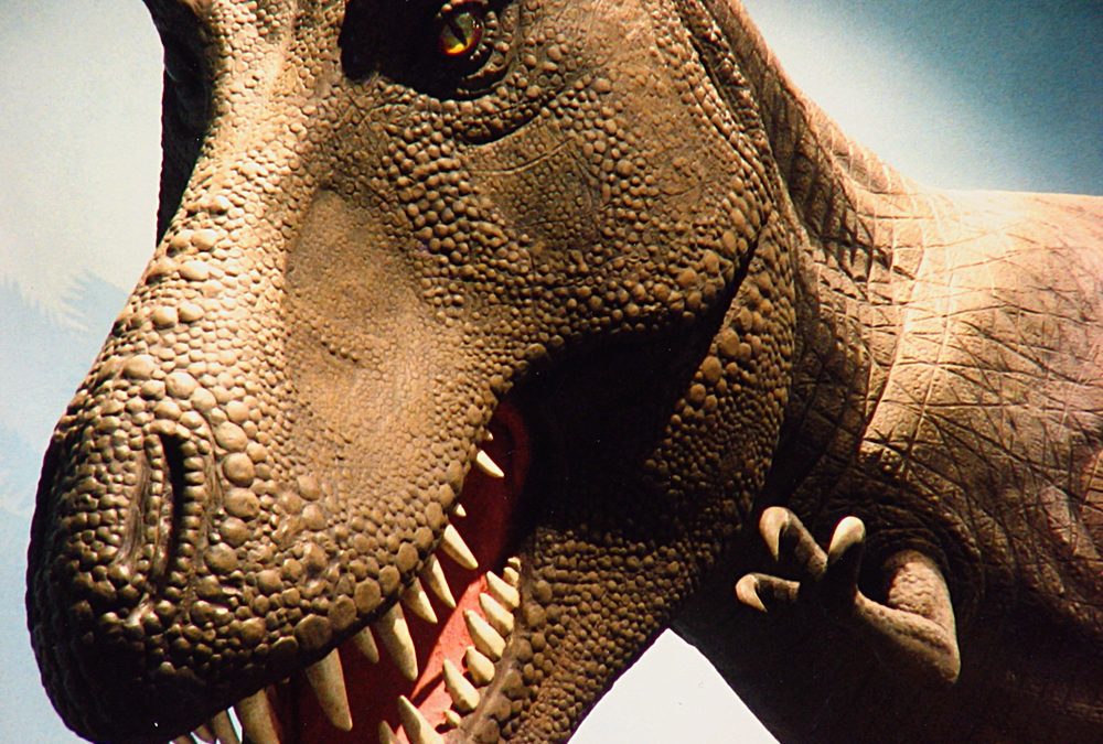 A bunch of T. rex walked the earth