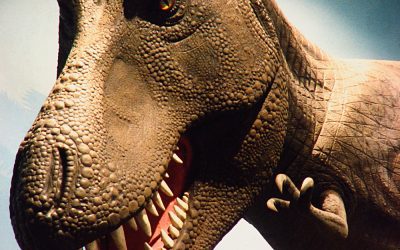 A bunch of T. rex walked the earth