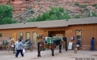 Hidden Grand Canyon town depends on helicopters and mules