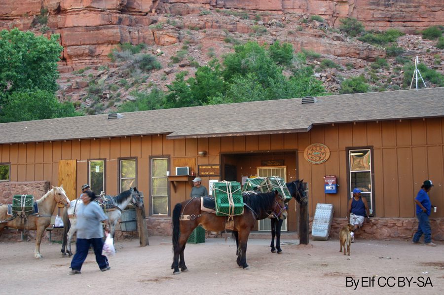 Hidden Grand Canyon town depends on helicopters and mules