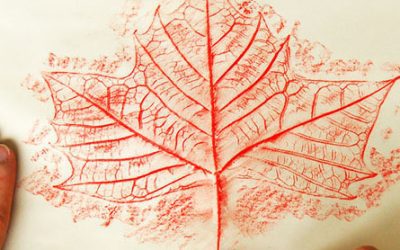 Leaf Rubbings: A Fun and Easy Fall Craft for Kids!