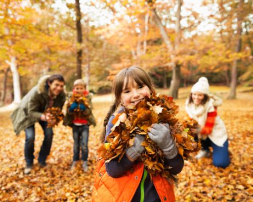 Family Fun for Fall