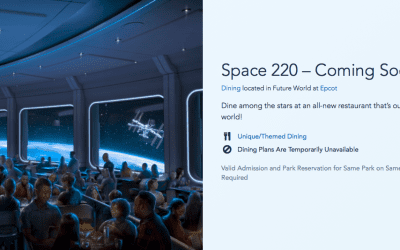 Disney Epcot Space 220