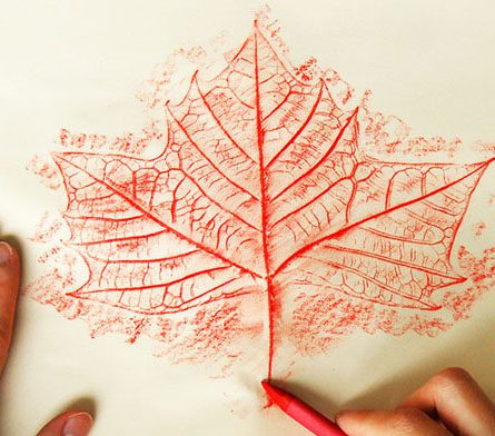 Leaf Rubbings: A Fun and Easy Fall Craft for Kids!